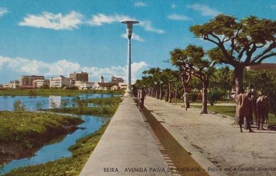Beira Avenida Andrade Avenue Mozambique African Postcard