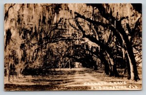 RPPC   St. Augustine  Florida   Postcard