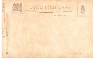 Mary Golay. Still Life. For Desert Tuck Oilette Postcard # 6646