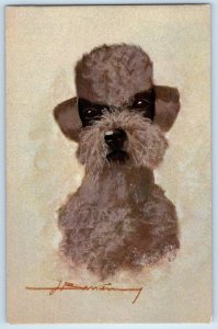 c1930's Dog Animal Edition Stehli Unposted Vintage Switzerland Postcard