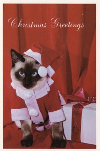 Christmas Greetings Siamese Kitty Cat Happy New Years Santa 1981 Postcard