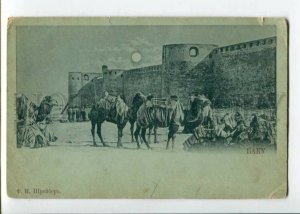 3106097 Azerbaijan BAKU Moonlight CAMELS vintage PC