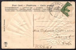 Birthday Greetings Birds Flowers