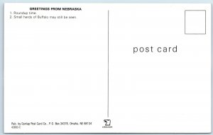 c1970s NE Nebraska Greetings From Buffalo Roundup Cattle Cowboys Chrome PC A308