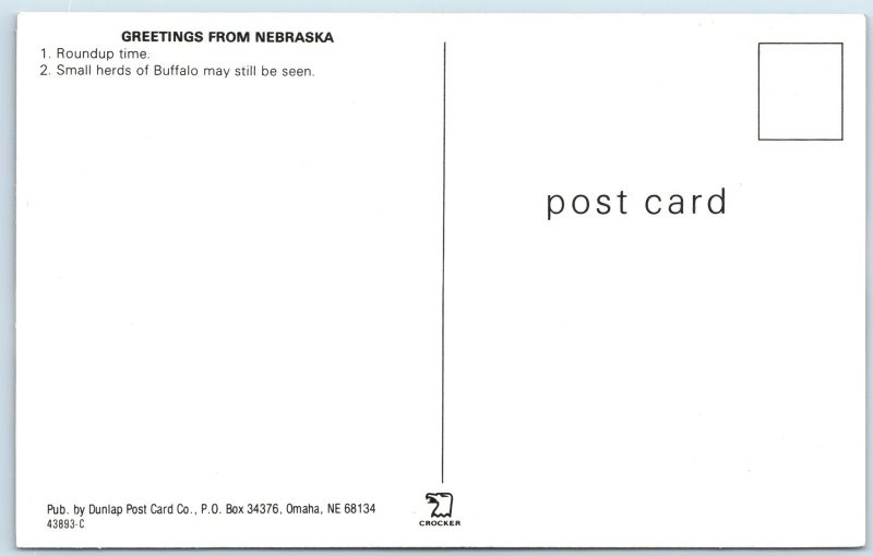 c1970s NE Nebraska Greetings From Buffalo Roundup Cattle Cowboys Chrome PC A308