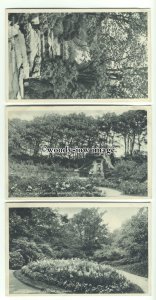 tp9683 - Lancs - Three Cards - All Ashton Gardens, Lytham, St. Annes - Postcard