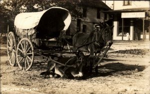 Southern Pines NC Mule Team Covered Wagon Eddy's Studio Real Photo Postcard