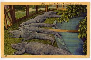 AR - Alligator Farm, Hot Springs National Park