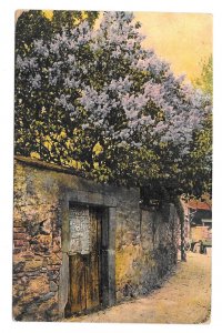 Gate with Sign in Stone Wall Painting R. N. Da 3016 Germany1909 Art Postcard