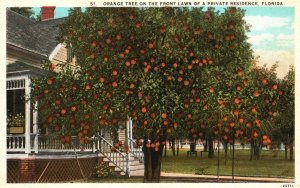 Vintage Postcard 1920's Orange Tree Point Lawn Private Residence Florida FL