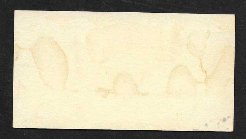 VICTORIAN TRADE CARDS (5) Name Card & Flowers