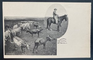 Mint Real Picture Postcard Cowboys Long Horns Ranch Bliss Oklahoma