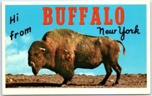 Postcard - Hi from Buffalo, New York