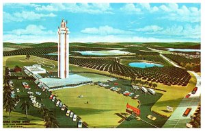 Citrus Observation Tower at Clermont Florida Postcard