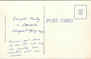 Vintage Henry Clay Monument Cemetery Lexington Kentucky KY Postcard