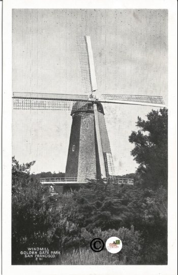 Windmill Golden Gate Park San Francisco Black and White 1940's Vintage Postcard