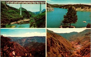 Big Bend Travel Service Multi View Big Bend National Park TX Chrome Postcard