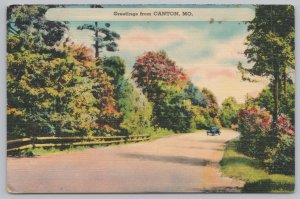 Linen~Road Scene In Autumn Canton Missouri~Vintage Postcard