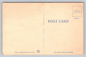 Police Officer With Drunk Guy  Comic Humor    Postcard