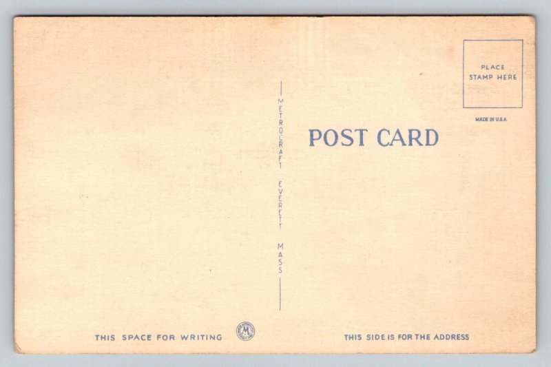 Police Officer With Drunk Guy  Comic Humor    Postcard