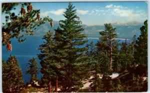 LAKE TAHOE, California  CA    Birdseye View   1960   Postcard