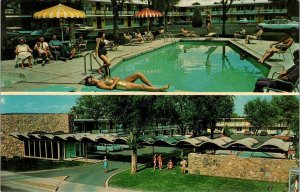 Colorado Springs, CO Colorado  DRAVO MANOR MOTOR HOTEL  Pool  ROADSIDE  Postcard