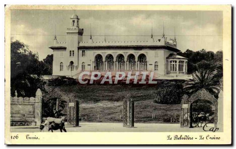 Old Postcard Tunis Belvedere Casino