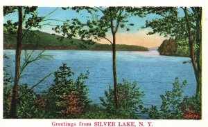 Vintage Postcard 1937 Greetings From Silver Lake New York Scenic Beauty Nature