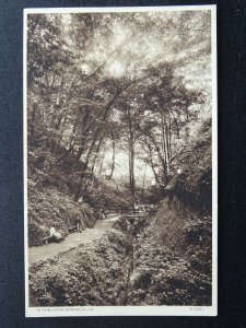 Isle of Wight 6 x SHANKLIN CHINE Collection c1910 to 1950s Postcards