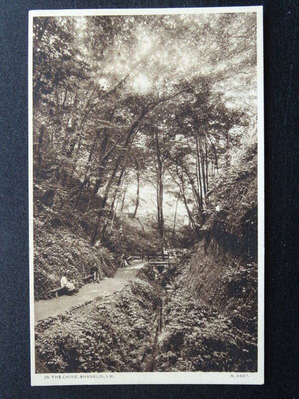 Isle of Wight 6 x SHANKLIN CHINE Collection c1910 to 1950s Postcards