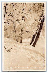 1940 Winter Foliage Snow View Lake Harriet Minneapolis MN RPPC Photo Postcard