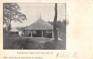Jersey Shore Pennsylvania Nippono Park Merry-Go-Round Vintage Postcard AA51024