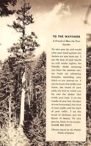 To the Wayfarer White Mountains, New Hampshire, USA Unused real photo