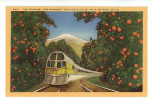 CA - The Streamliner Passing Through An Orange Grove