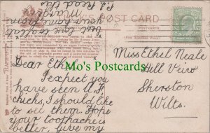Genealogy Postcard - Neale, Hill View, Sherston, Wiltshire   GL1426