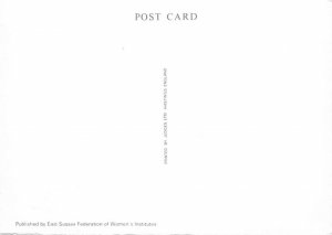 Raft Race Raft Race , On The Ouse