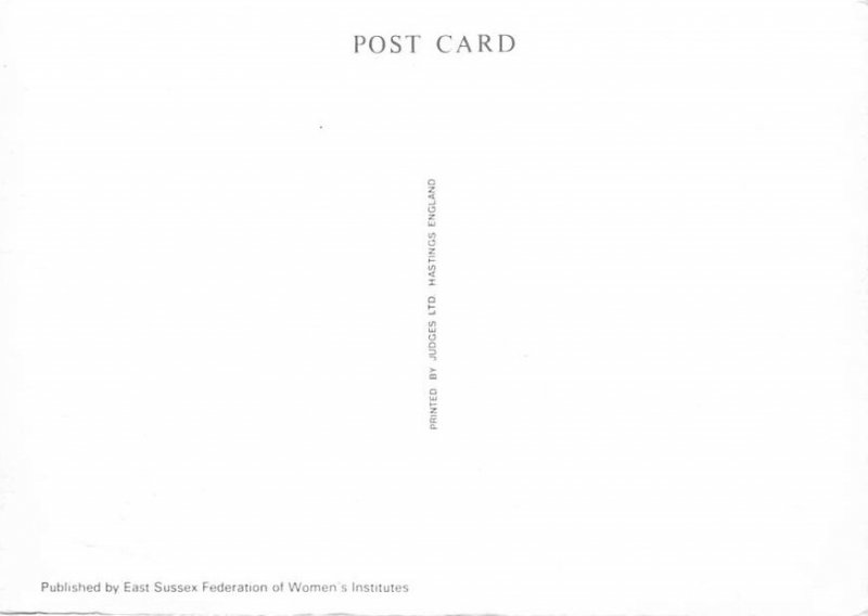 Raft Race Raft Race , On The Ouse