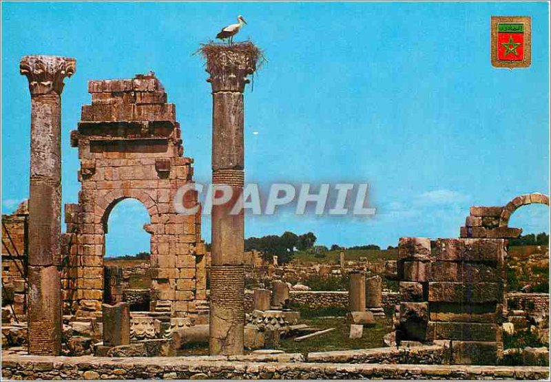 Modern Postcard Volubilis Ruins of the Temple