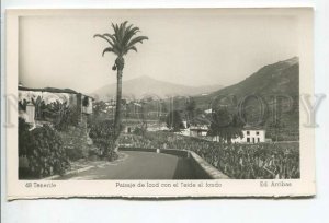 438045 Spain Tenerife Santa Cruz Landscape Icod Mount Teide Volcano photo