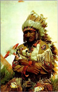 Old Indian Chief