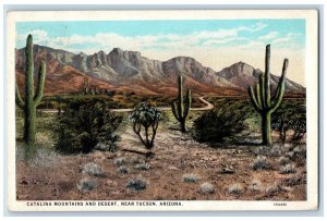 1928 Catalina Mountains And Dessert Scene Near Tucson Arizona AZ Posted Postcard