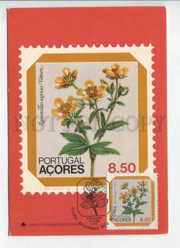 450884 Portugal Azores 1981 year First Day maximum card flowers