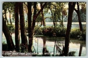 Waterloo IA~Narrow Portion of the Cedar River Through Trees~Chautauqua Park 1910