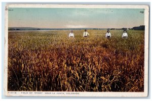 1919 Field Wheat Near La Junta Colorado CO Vintage Antique Posted Postcard