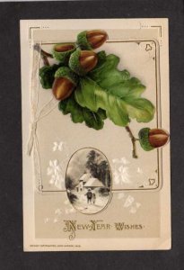 New Year Wishes Greetings John Winsch Fold Out Postcard Acorns Burnside Poem