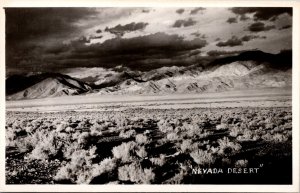 Vtg NV Nevada Desert RPPC Real Photo Postcard