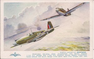 WWII Airplane, North American Mustang, Escort Fighter, 1940-45 Churchill Quote