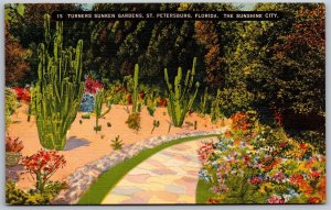 Vtg St Petersburg Florida FL Turners Sunken Gardens Tropical Cactus Postcard