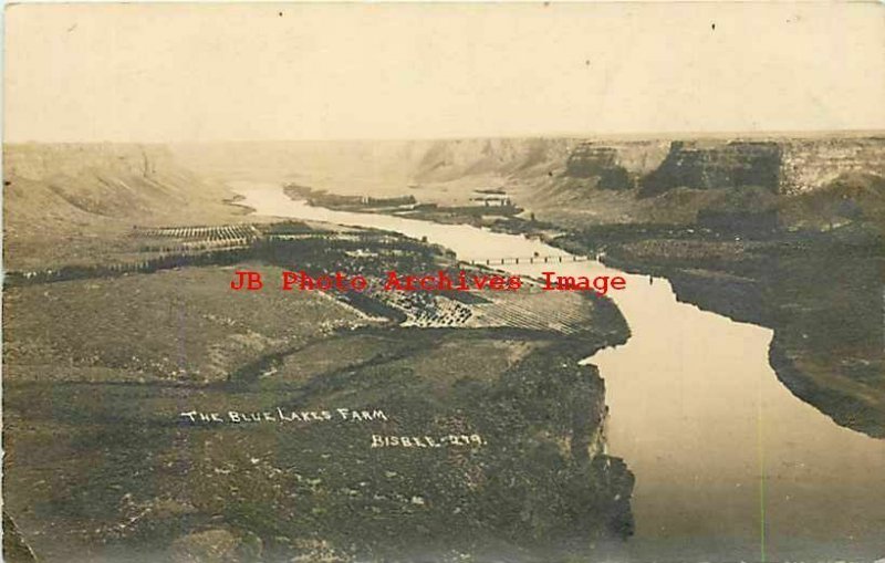 ID, Twin Falls, Idaho, RPPC, Snake River, Blue Lakes Farm, 1913 PM, Bisbee Photo