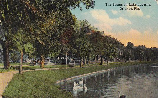 The Swans On Lake Lucerne Orlando Florida